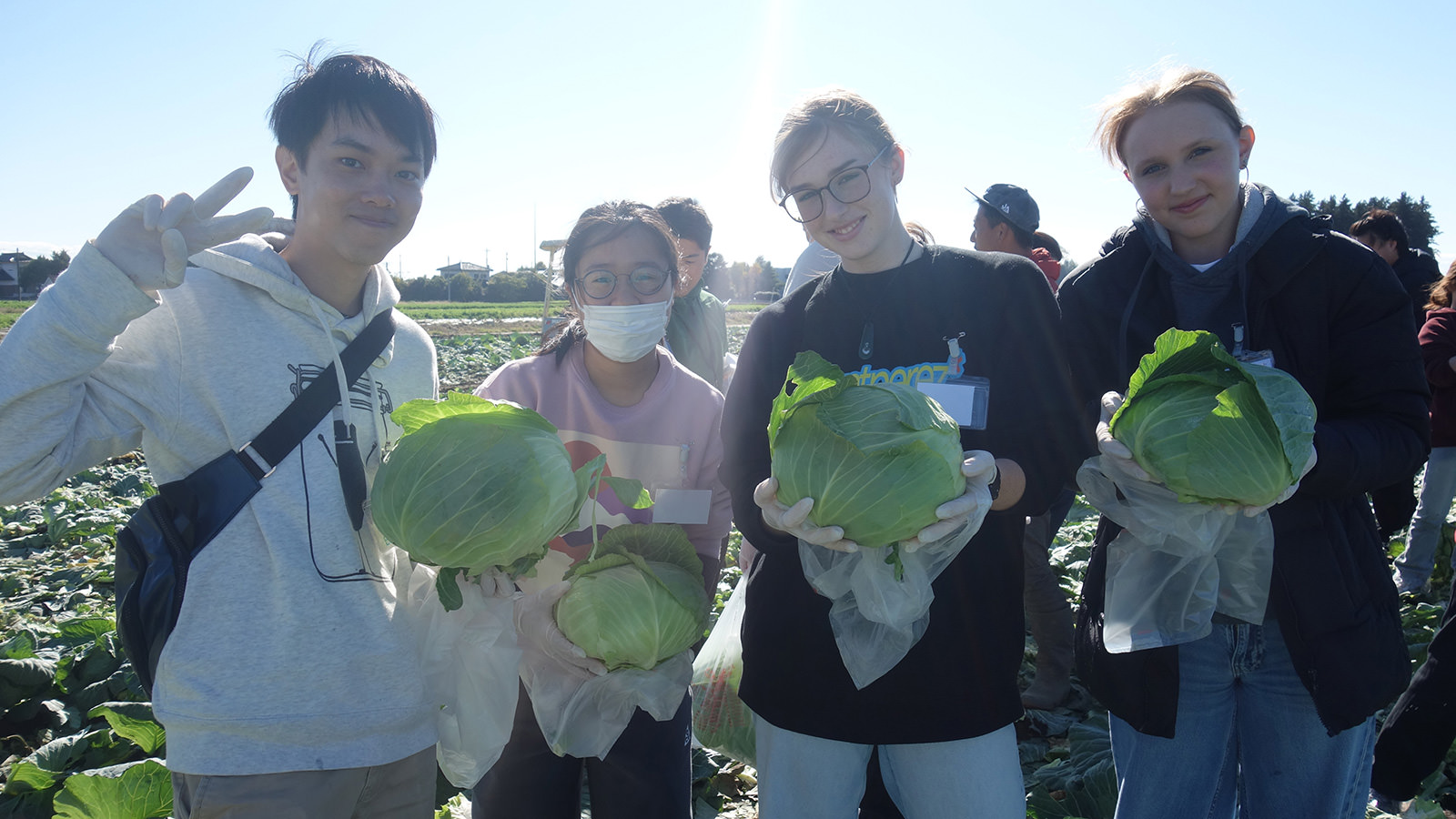 1クエスト茨城pc